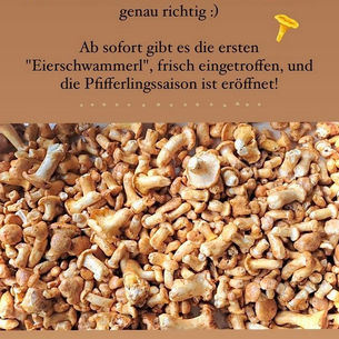 Kastenmeiers - Abwechslung nach der Spargelzeit gewünscht?