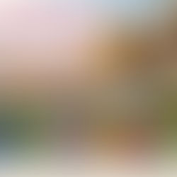 Muttertag im Schloßpark erleben