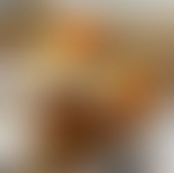 Pillnitzer Elbblick-Burger!