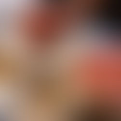 Tolle Dinge in der Elbuferei Dresden ab 16.01.2023!