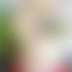 Lust auf Dresden Autorin Sandra backt zwei Torten zur Schuleinführung