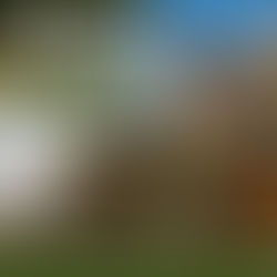 Zehrgarten Burg Stolpen öffnet wieder!