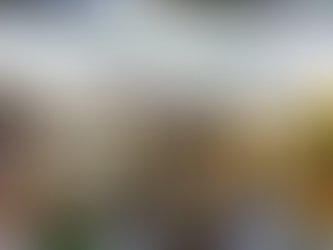 Phở Mum in der Dresdner Neustadt: Authentischer vietnamesischer Genuss unter freiem Himmel