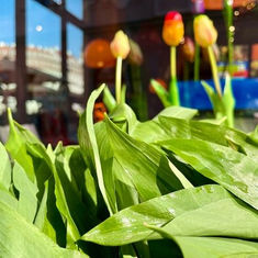 Frühlingspannenkoeken im Kok van Kok!