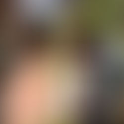 Zum Schiesshaus Dresden - Unsere Schützenweine sind da