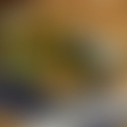 Umaii Dresden empfiehlt - Verschiedene Tempura Varianten!