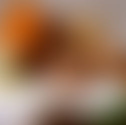 Noch 6 Restplätze für Spezialitätenabend "Französischer Käse" im Logis L' Auberge Gutshof!