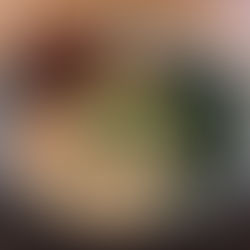 Umaii Ramenbar Dresden - Unser Neujahrsramen!