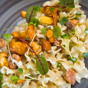Sommertipp mit Genussgarantie: Frische Pfifferlinge im Timmermanns Restaurant in Radeberg