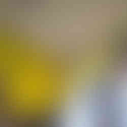 Frühling im Palais: Blütenkunst kehrt nach drei Jahren zurück