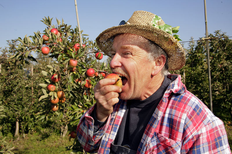Obst vom Obsthof Rüdiger - Tradition seit 1792
