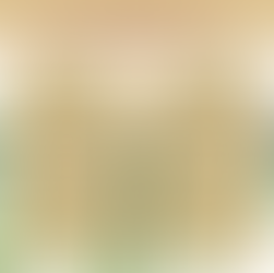 Stresa Restaurant - To Go