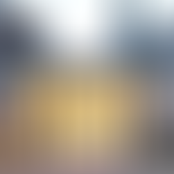 Dorint Parkhotel Meißen