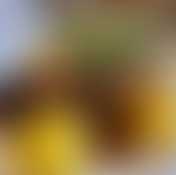 ZEIT FÜR GÄNSESCHMAUS & GANS TO GO bei uns im Historischen Fischhaus