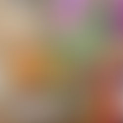 Yam Yam Dresden empfiehlt - Mì Gạo – Kurkuma Hühnerfilet!