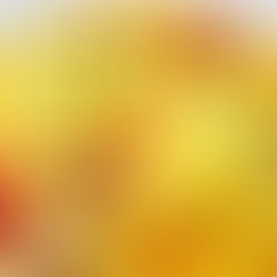 Neue Wochenkarte im Da Michele Ristorante Osteria!