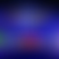 Christmas Garden in Pillnitz