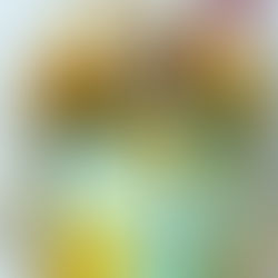 Lust auf Dresden Autorin Sandra bäckt Bienenwaben-Torte!