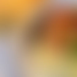 HONIGERNTE & HERBSTLICHE LANDHAUSKÜCHE im Historischen Fischhaus