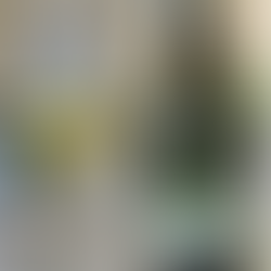 Weingut Vincenz Richter - Schon den Neuen probiert, Riesling?