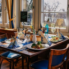 Pillnitzer Elbblick - Der perfekte Start in den Frühling!