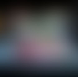 Hochwertige japanische Esskultur - SHIKI Dresden!