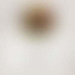 Unsere Highlights im Überblick - Café Konditorei Schreiber!