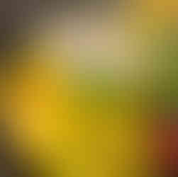 schwarzer Sesam mit Früchten