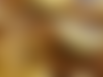 Schweineschnitzel mit knusprigen Pommes und Zitrone