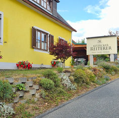 Genussreise ins Kitzecker Weingut Reiterer – Winzerkunst, Panoramablick & herzliche Gastfreundschaft