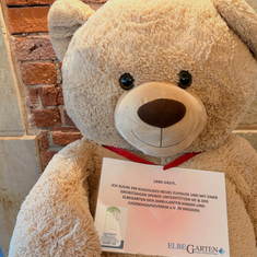 Ein Teddybär mit Aufgabe: ElbeGarten unterstützt Kinderhospizarbeit in Dresden