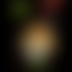 Ogimi empfiehlt Oktopus Tempura