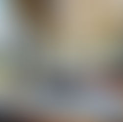 Dampferparade im Pillnitzer Elbblick erleben