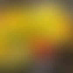 Mangoeis mit Adzukibohnen