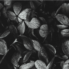 Ein letztes Beisammensein – Besondere Orte für die Trauerfeier rund um Dresden