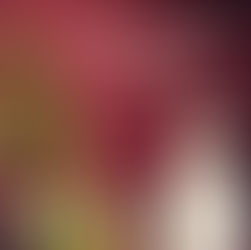 Tasty Dresden - Ja, ist denn schon wieder Weihnachten??