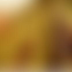 Wine & Dine ElbUferei mit Weingut Martin Schwarz & Wolkenberg!