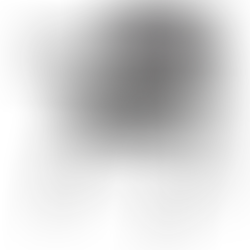 Executive/ Conference Visitor’s Arm Chair