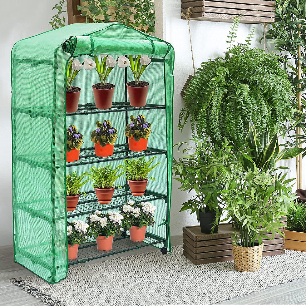 Thumbnail: Greenhouse for Outdoors