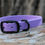 Thumbnail: Single Collar Medium 