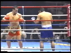 bloggif_542287141a11a.gif