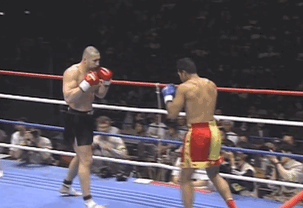 Ray Sefo vs Jerome Le Banner