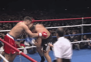 Jerome Le Banner vs Peter Aerts