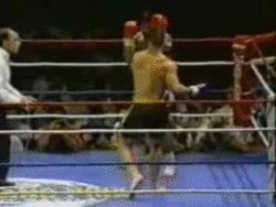 bloggif_541b11f034eb9.gif