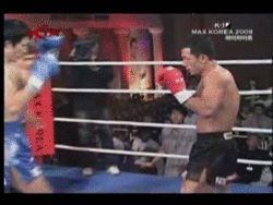 bloggif_542286c3e87a7.gif