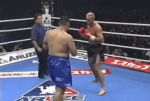 Mark Hunt vs Stefan Leko