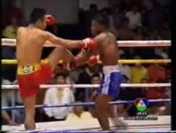 bloggif_54196842ca94d.gif
