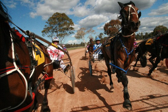 EUGOWRA CANOLA CUP
