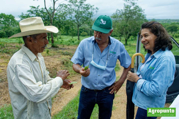 Ayuntamiento Isla, micorrizas, curso cítricos, capacitación, agropecuario.