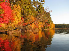 2012 Fall Shoreline.jpeg